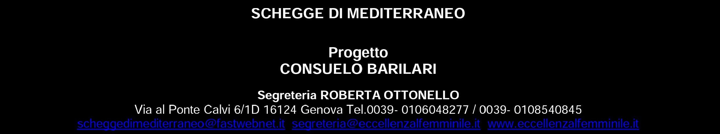 contatti schegge