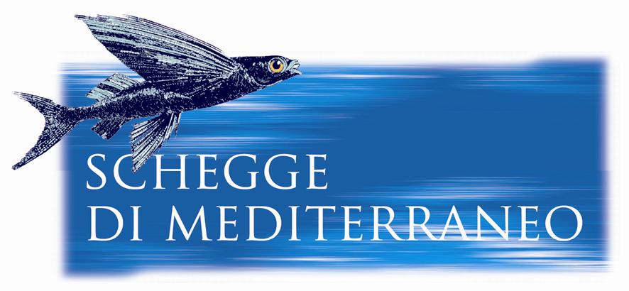 logo Schegge di Mediterraneo